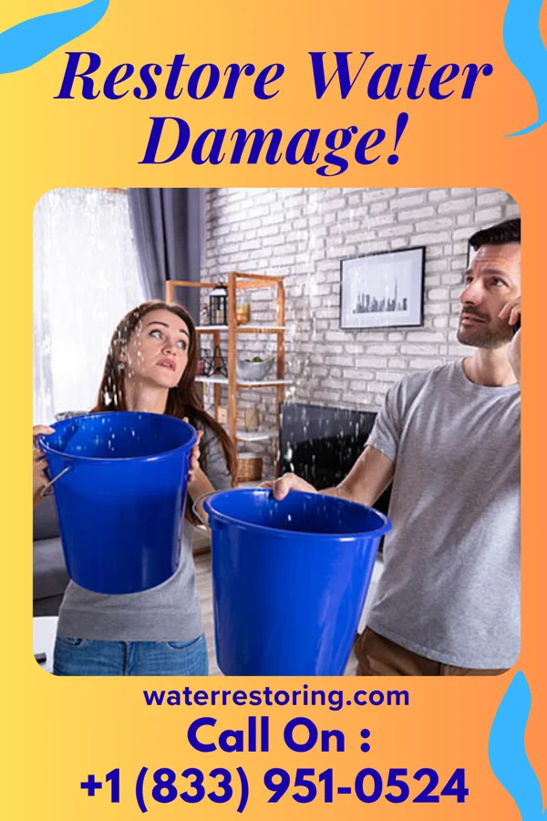 water restoration Stellar Flood Damage Authority Kingsport