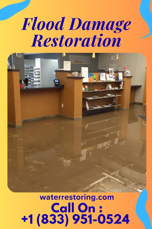 Flood Damage Restoration in Kingsport, TN