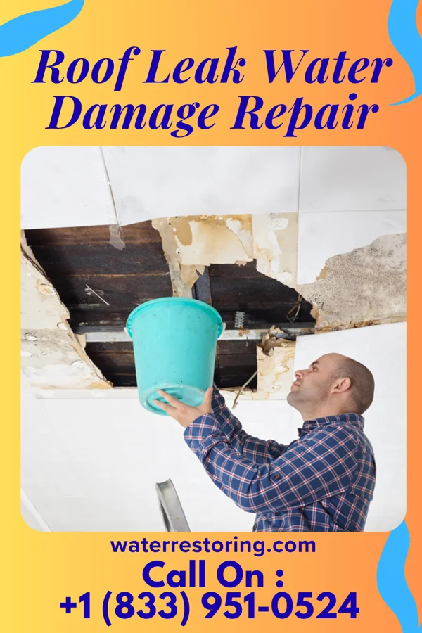 Roof Leak Water Damage Repair in Kingsport, TN