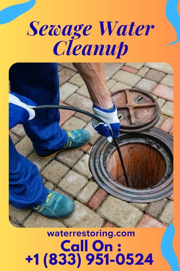 Sewage Water Cleanup in Kingsport, TN