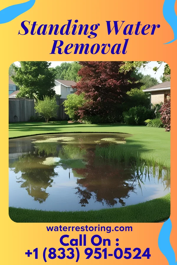 Standing Water Removal in Kingsport, TN